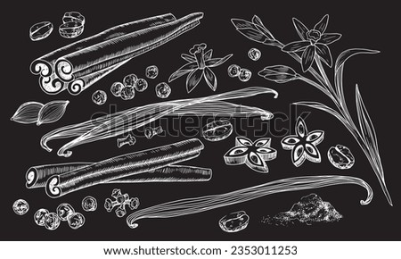 Drawn on chalkboard set of spices. Vanilla flower, dried vanilla sticks, cinnamon, allspice, coffee beans, cardamom, anise, cloves isolated on black background. Linear illustration. Sketch style.
