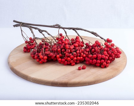 Still, bunches of rowan on a wooden tray.