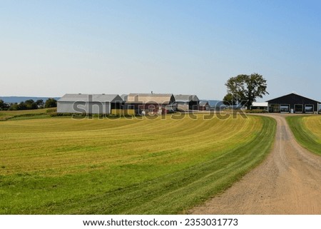 A long gravel driveway leads to a farm with multiple metal outcrop buildings. The barns on the farm are all on one level. There's a large lush green tree in front of the barns. The field is lush green Royalty-Free Stock Photo #2353031773