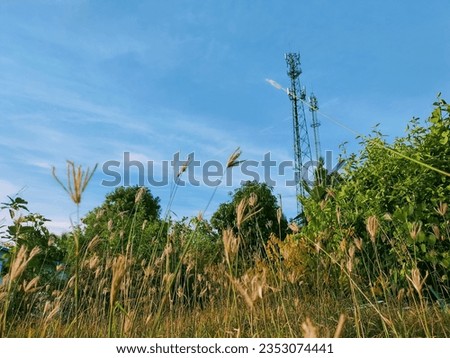 Grassland with towering signal towers
from Thailand 