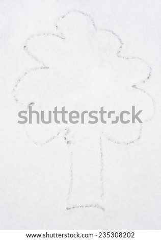 Drawing tree on snow, drawing art created on the surface of the snow