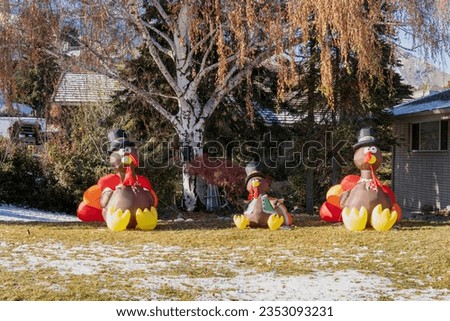 Inflatable turkeys figures in the hats in the park. Thanksgiving decoration. Traditional Thanksgiving yard decor. Turkey shape balloons