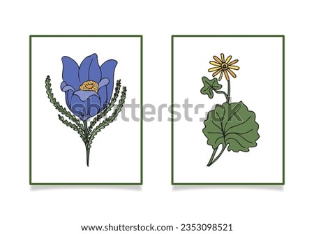 Wildflowers vector illustration. Sleep-grass and spring chistyak. Freehand drawing