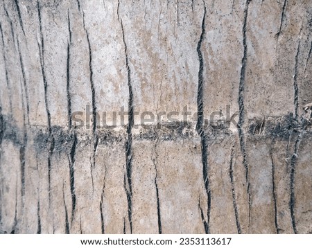 a close up of wood coconut texture background