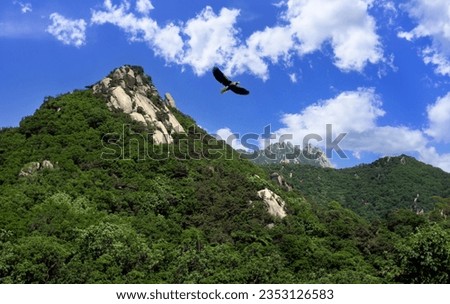 Beautiful rocks and cliff ridges in Korean mountains Royalty-Free Stock Photo #2353126583