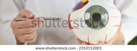 Ophthalmologist holds anatomical model of human eye and pen in her hands. Scientist explains structure of human eye to students. Royalty-Free Stock Photo #2353152001