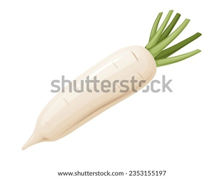 Daikon radish with green stem. Horseradish rhizome plant. Royalty-Free Stock Photo #2353155197