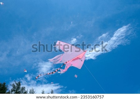 Kite flying in the blue sky