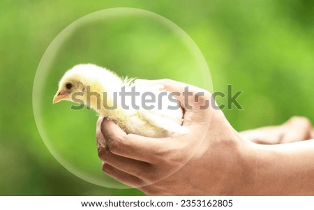 Poultry must be protected to inhibit the breeding of germs that cause epidemic in poultry such as chickens, ducks, etc.