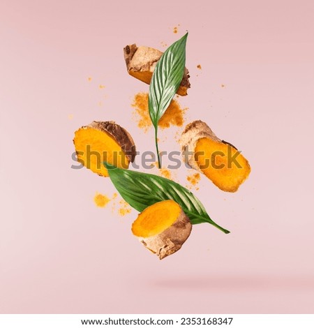 Fresh turmeric root with powder and green leaves falling in the air isolated on pink background. Food levitation conception. High resolution image.