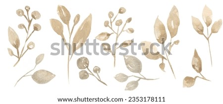 Leaves illustration set, delicate beige garden florals clipart collection, greenery clip art