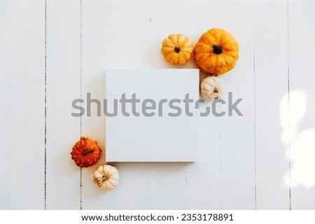 
Empty picture frame with autumn pumpkin decor on white wooden floor. Thanksgiving minimal flat lay podium background. Halloween table top view. Flat lay.