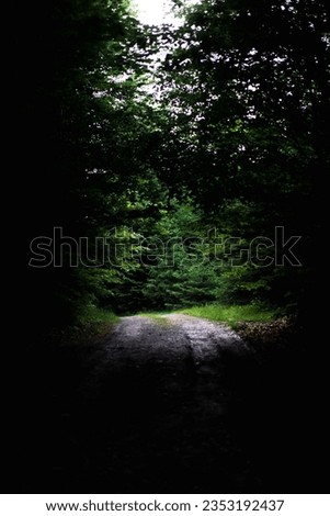 An atmospheric image of a dark path in the woods, illuminated by a patch of light at the end Royalty-Free Stock Photo #2353192437