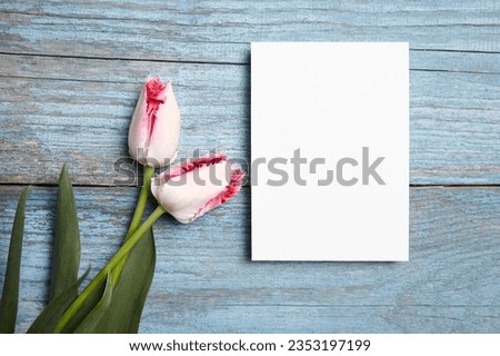 Blank invitation card mockup, white greeting card with pink tulip flower on a blue wooden background, flat lay. Greeting card mockup with elegant floral decor