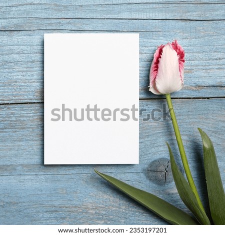 Blank invitation card mockup, white greeting card with pink tulip flower on a blue wooden background, flat lay. Portrait-oriented wedding invitation mockup