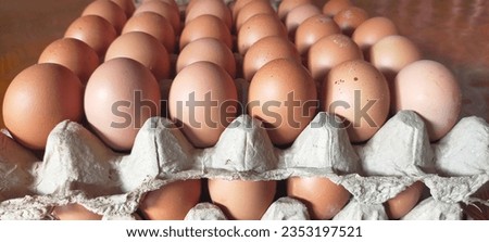 picture of chicken eggs on the egg rack