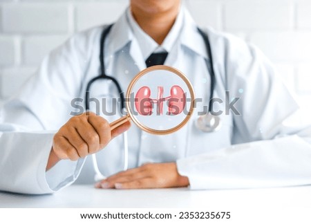 doctor holding kidney organ , Search for chronic kidney disease, renal failure, dialysis, Health checkup concept. Royalty-Free Stock Photo #2353235675