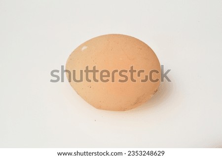 Windegg is a bird egg that is laid without a calcareous shell and is therefore only surrounded by the thin shell skin. Royalty-Free Stock Photo #2353248629