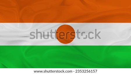 Flag of Niger Flying in the Air
