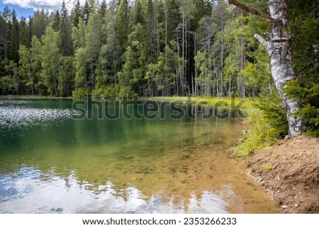 Lake in the forest. Russia, Siberia, Altai mountains. Background for the site. Empty space for text