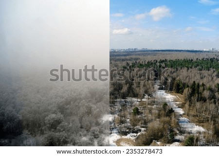 Winter forest with snow trees before and after spring weather. A snow storm and a clear sky of spring time.