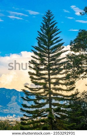 Beautiful mountain landscape and city panorama with forest trees clouds and nature of San José and Heredia Costa Rica in Central America.