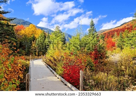 Beautiful autumn colors along a boardwalk trail in the countryside of Vermont, USA Royalty-Free Stock Photo #2353329663