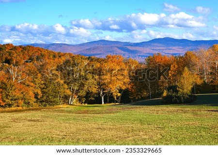 Beautiful autumn colors along a meadow in the Green Mountains  of Vermont, USA Royalty-Free Stock Photo #2353329665