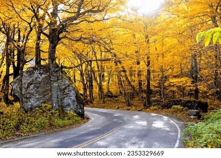 Vibrant autumn colors in the sun with winding Smuggler's Notch road, Vermont, USA Royalty-Free Stock Photo #2353329669