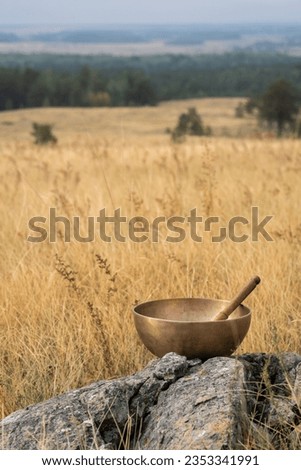 A Tibetan singing bowl stands on a stone in a field. High quality photo