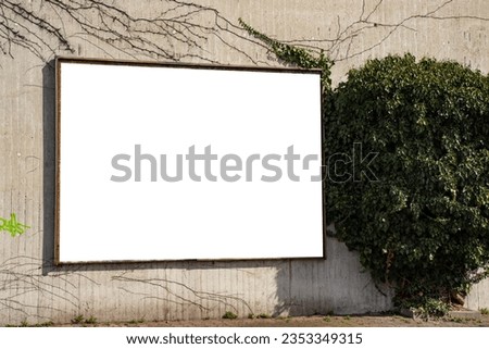 Billboard mockup advertising on the wall with a green bush and loach on the wall sunday