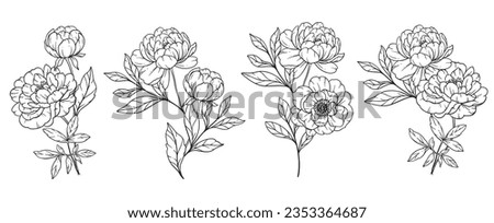 Peony  Line Art, Fine Line Peony Bouquets Hand Drawn Illustration. Coloring Page with Peony Flowers
 Royalty-Free Stock Photo #2353364687