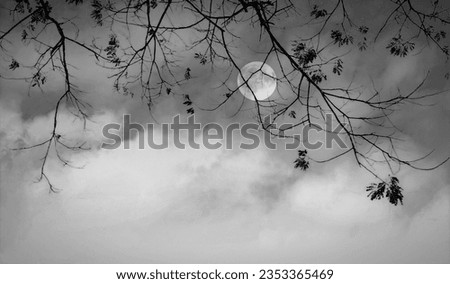 moon lit night at the branches of tree