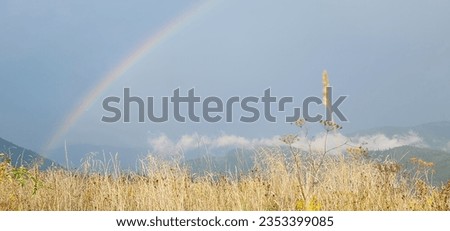 A majestic rainbow arches over the mountains, a radiant bridge connecting Earth and sky amidst the backdrop of billowing cumulus thunderclouds
