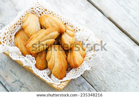 wholegrain Madeleine on a light woody background. tinting. selective focus