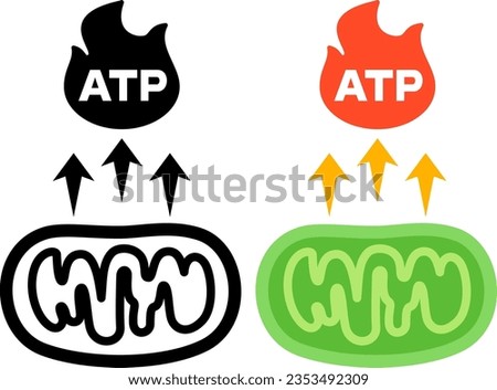 ATP synthesis mitochondrial monochrome icon