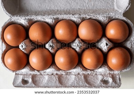A few brown eggs among the cells of a large cardboard bag, a chicken egg as a valuable nutritious product, a tray for carrying and storing fragile eggs. A full package of eggs, an important food item