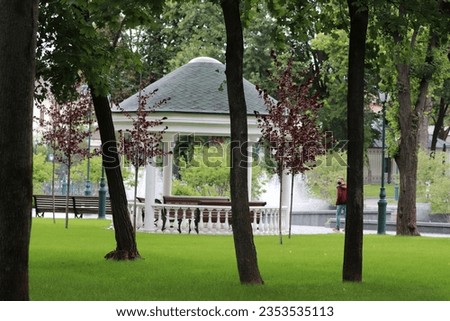 a green park, a conversation in a green garden between trees, a well-trimmed lawn