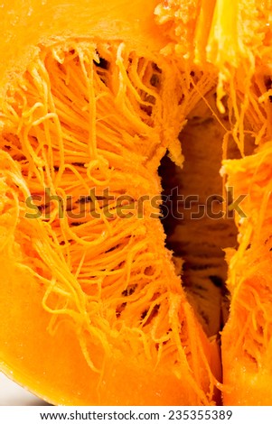 Pumpkin details from inside - texture and background 