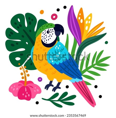 Tropical birds poster. Funny rainforest creature. Parrot and jungle plants. Exotic hibiscus flowers. Feathered animal. Parakeet or macaw on palm branch. Vector color Royalty-Free Stock Photo #2353567469