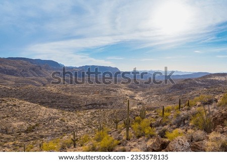 Filtered through high clouds, the sun washes over the rocky, cactus-strewn desert terrain of the Tonto National Forest in Arizona. Shot from Route 88, also known as the Apache Trail, east of Phoenix. Royalty-Free Stock Photo #2353578135