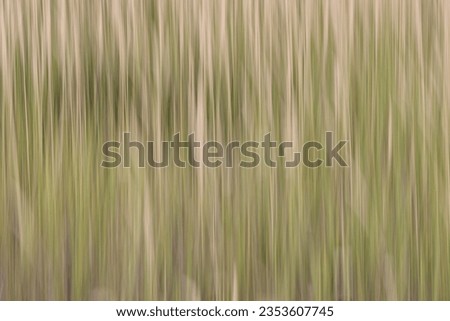 Motion blur background image of green grass. Abstraction