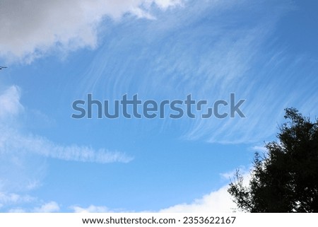 Picture of the sky, Thin cloud lines against a deep blue sky, tree in foreground