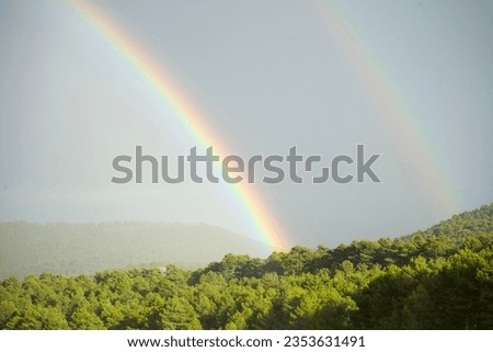 Rainbow in the forest. Rainbow coming out between the trees after the storm