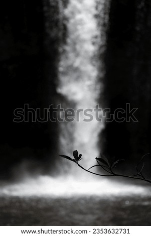 Abstract scene of silhouetted leaves with blurry waterfall inside dark cave.