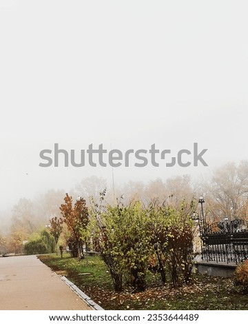 Foggy city, autumn morning in the city, fog on the river, city sleep, park in the fog, Milk in the city, calm autumn morning  Royalty-Free Stock Photo #2353644489