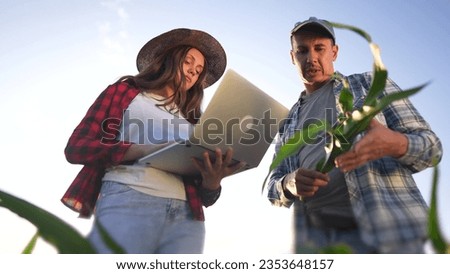 group of farmers working with laptop in irrigation a corn field. agriculture business farm concept. farmers examines lifestyle green sprouts of corn on the background of watering irrigation Royalty-Free Stock Photo #2353648157