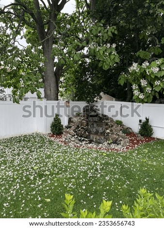 The lawn and backyard, pondless waterfall that is covered with fallen petals from a Southern Catalpa tree.