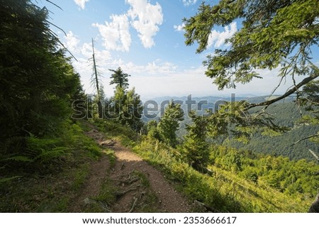 Pictures from the hiking trail "Belchensteig" in southern Germany. The Belchen is a 1414 high mountain in the Black Forest.