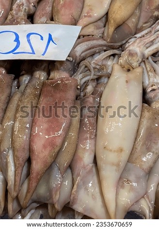 a photography of a display of squids and squid meat, butcher shop display of squids and squid meat for sale.